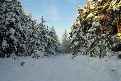 《幻想水浒传I&II HD复刻版》预告 2023年发售